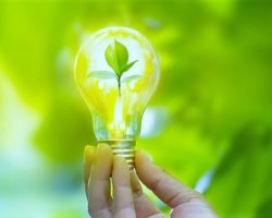 Sustainability