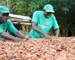 agric